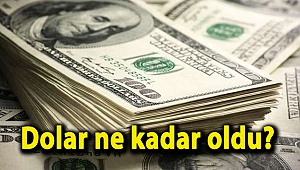 Dolar ne kadar oldu?