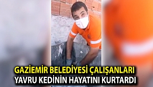 Gaziemir Belediyesi çalışanları yavru kedinin hayatını kurtardı