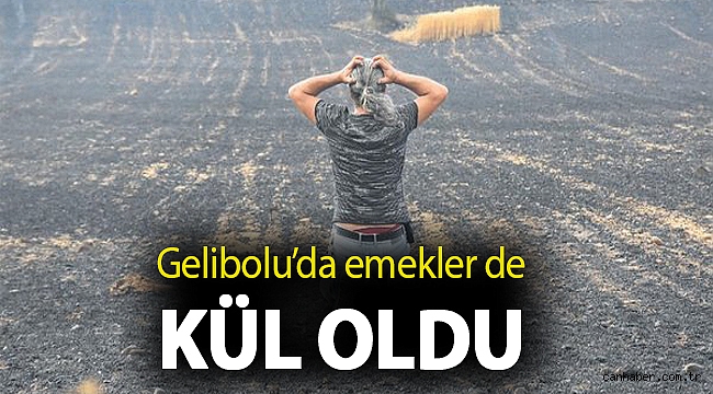 Gelibolu’da emekler de kül oldu