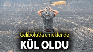 Gelibolu’da emekler de kül oldu