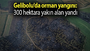 Gelibolu'da orman yangını: 300 hektara yakın alan yandı