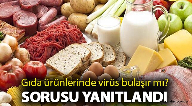 Gıda ürünlerinde virüs bulaşır mı? sorusu yanıtlandı