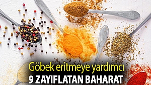 Göbek eritmeye yardımcı 9 zayıflatan baharat
