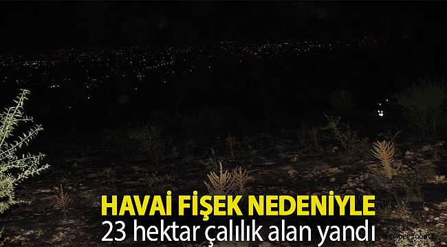 Havai fişek nedeniyle 23 hektar çalılık alan yandı