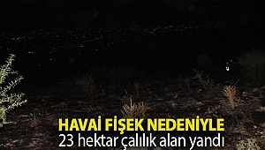 Havai fişek nedeniyle 23 hektar çalılık alan yandı