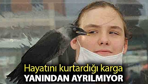 Hayatını kurtardığı karga yanından ayrılmıyor
