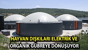 HAYVAN DIŞKILARI ELEKTRİK VE ORGANİK GÜBREYE DÖNÜŞÜYOR