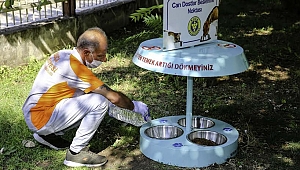 İzmir sıcaklarında Buca Belediyesi’nde mama ve su seferberliği