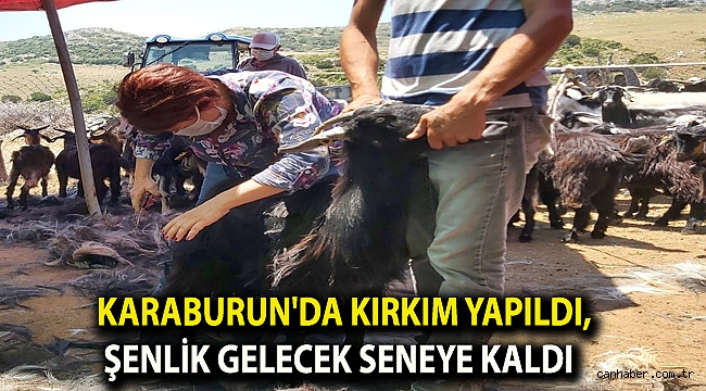 Karaburun'da kırkım yapıldı, şenlik gelecek seneye kaldı