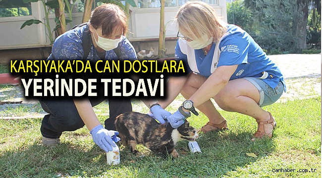 Karşıyaka’da can dostlara yerinde tedavi