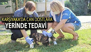 Karşıyaka’da can dostlara yerinde tedavi