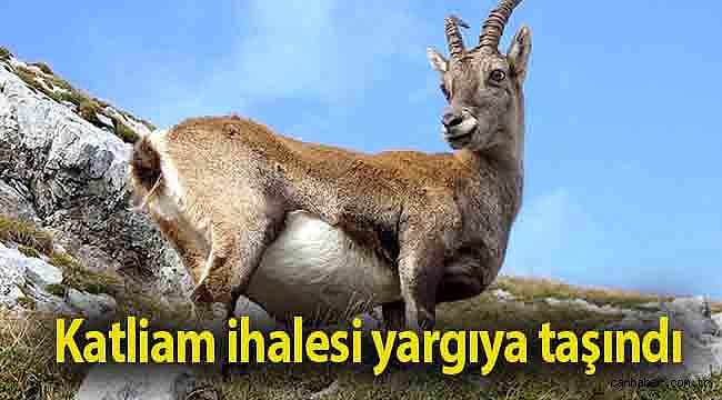 Katliam ihalesi yargıya taşındı