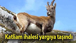 Katliam ihalesi yargıya taşındı