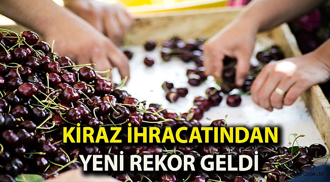 Kiraz ihracatından yeni rekor geldi