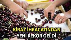 Kiraz ihracatından yeni rekor geldi