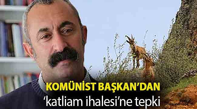 Komünist Başkan’dan ‘katliam ihalesi’ne tepki: Hiçbir canlının hayatı ihaleye çıkarılamaz