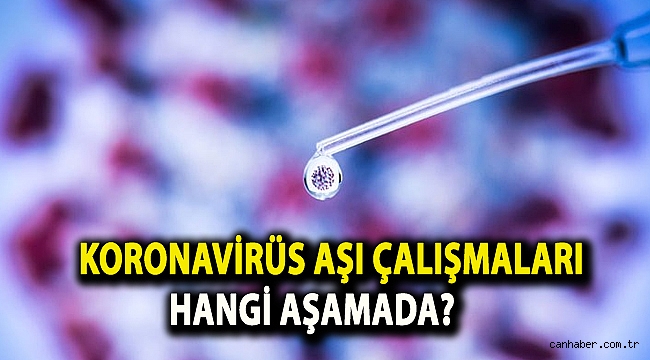 Koronavirüs aşı çalışmaları hangi aşamada?
