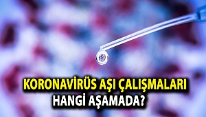 Koronavirüs aşı çalışmaları hangi aşamada?