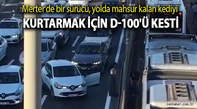 Merter'de bir sürücü, yolda mahsur kalan kediyi kurtarmak için D-100'ü kesti