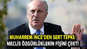 Muharrem İnce’den sert tepki: Meclis özgürlüklerin fişini çekti