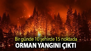 Orman Genel Müdürlüğü: Bir günde 10 şehirde 15 noktada orman yangını çıktı