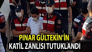 Pınar Gültekin’in katil zanlısı tutuklandı