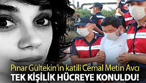 Pınar Gültekin'in katili Cemal Metin Avcı tek kişilik hücreye konuldu!