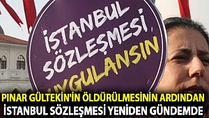 Pınar Gültekin'in öldürülmesinin ardından İstanbul Sözleşmesi yeniden gündemde