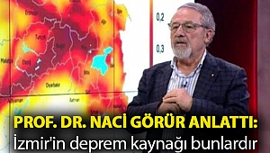 Prof. Dr. Naci Görür anlattı: İzmir'in deprem kaynağı bunlardır