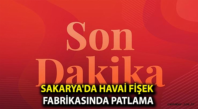 Sakarya'da havai fişek fabrikasında patlama