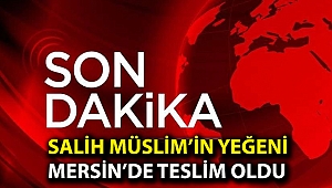 Salih Müslim’in yeğeni Mersin’de teslim oldu