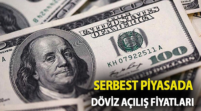 Serbest piyasada döviz açılış fiyatları