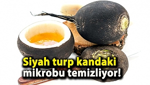 Siyah turp kandaki mikrobu temizliyor!