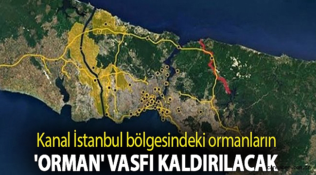 Talan ortaya çıktı: Kanal İstanbul bölgesindeki ormanların 'orman' vasfı kaldırılacak