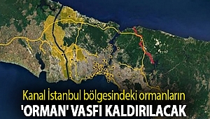 Talan ortaya çıktı: Kanal İstanbul bölgesindeki ormanların 'orman' vasfı kaldırılacak