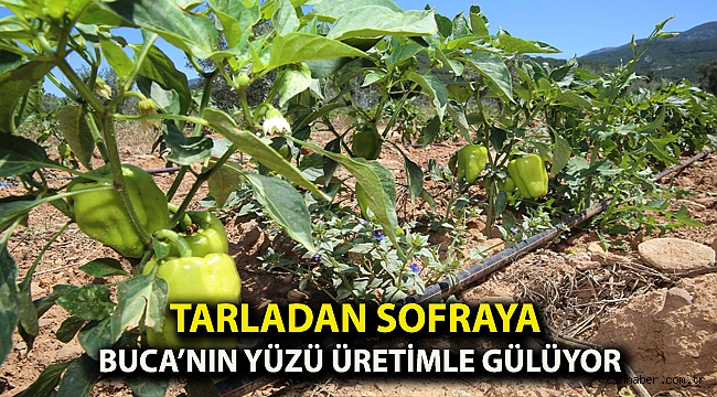Tarladan sofraya Buca’nın yüzü üretimle gülüyor