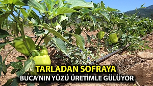 Tarladan sofraya Buca’nın yüzü üretimle gülüyor