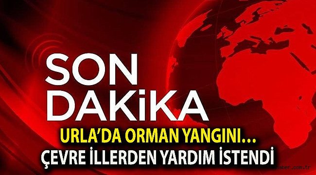 Urla’da orman yangını… Çevre illerden yardım istendi
