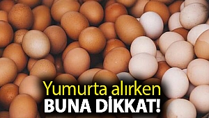 Yumurta alırken buna dikkat! Çoğu kişi rengine bakıyor ama...