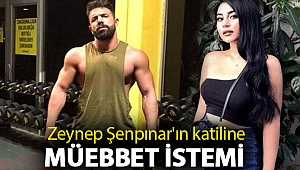 Zeynep Şenpınar'ın katiline müebbet istemi