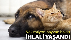 522 milyon hayvan hakkı ihlali yaşandı