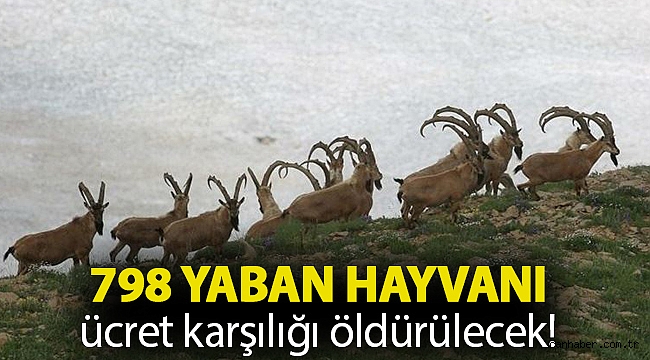 798 yaban hayvanı ücret karşılığı öldürülecek!