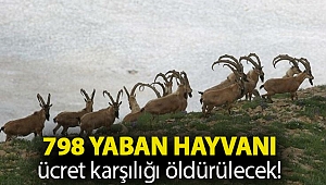 798 yaban hayvanı ücret karşılığı öldürülecek!
