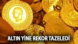 Altın yine rekor tazeledi