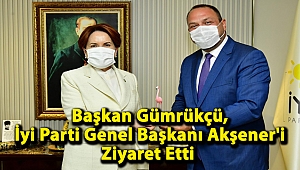Başkan Gümrükçü, İyi Parti Genel Başkanı Akşener'i Ziyaret Etti