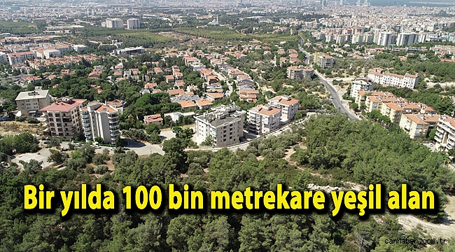 Bir yılda 100 bin metrekare yeşil alan