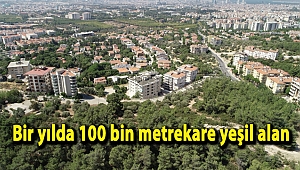 Bir yılda 100 bin metrekare yeşil alan