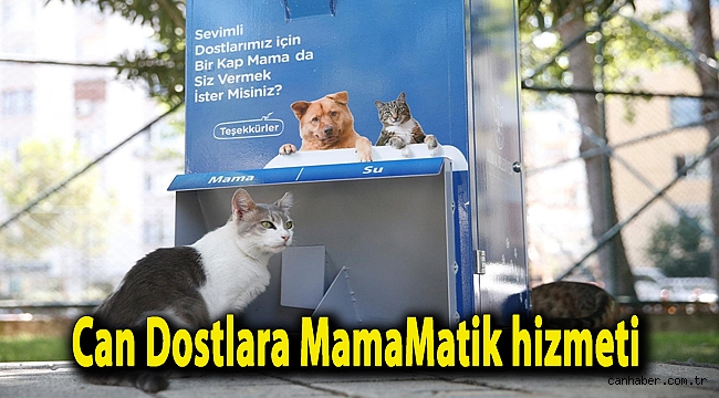 Can Dostlara MamaMatik hizmeti