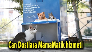 Can Dostlara MamaMatik hizmeti