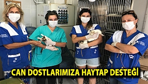 Can dostlarımıza HAYTAP desteği